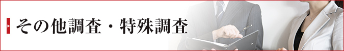その他調査・特殊調査