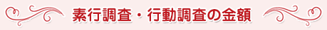 素行調査・行動調査の金額