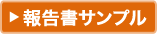 報告書サンプル